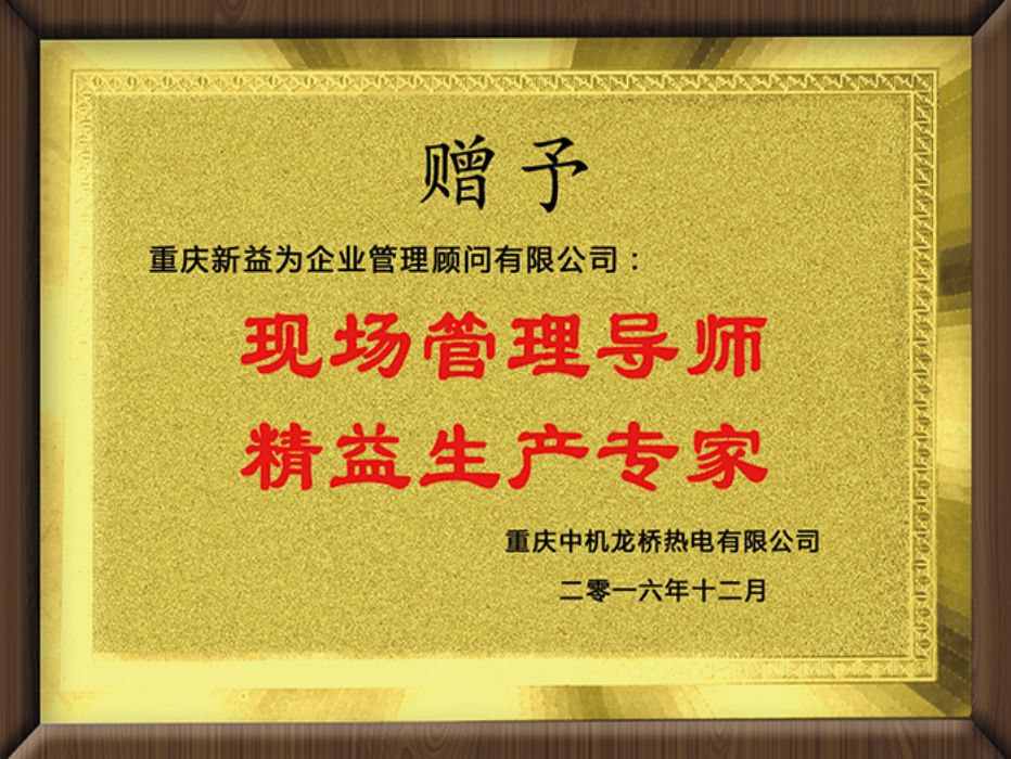 重慶中機龍橋熱電有限公司