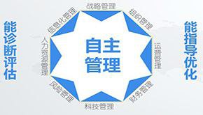 對(duì)標(biāo)管理咨詢