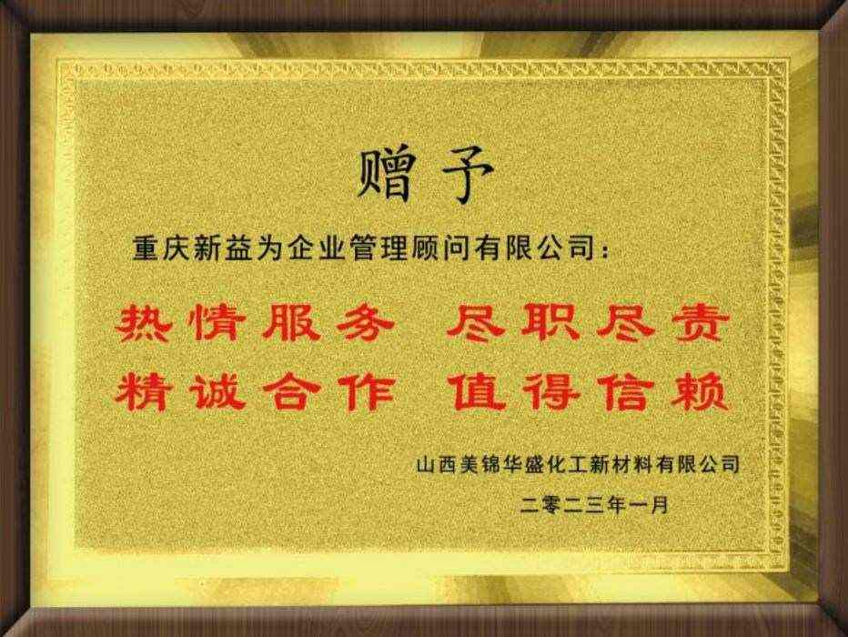 山西美錦華盛化工新材料有限公司